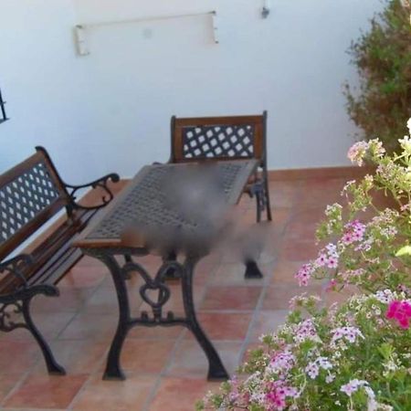Finca La Tacita - Rosal Conil De La Frontera Exteriör bild