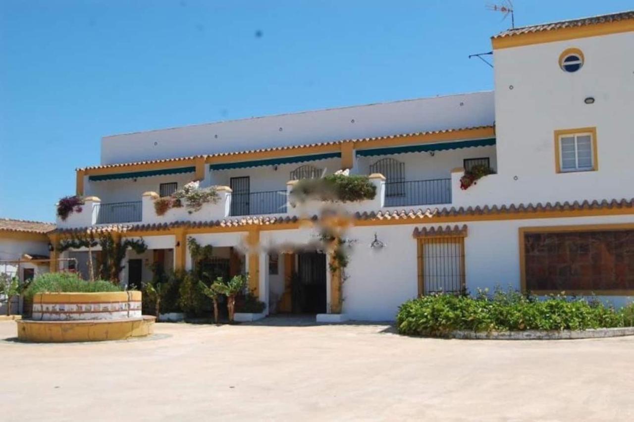 Finca La Tacita - Rosal Conil De La Frontera Exteriör bild